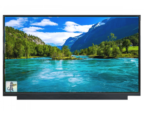 BOE NV156FHM-N67 15.6-inch FHD IPS LCD LED Laptop Screen (1920 x 1080, 30-Pin)